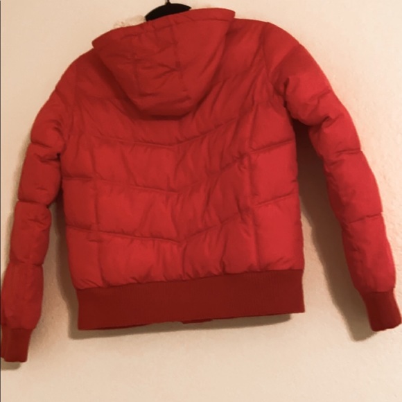 Pink puffer - Picture 2 of 4